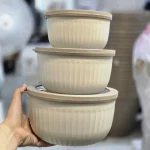 ظرف نگهدارنده فریزری پاستیلی دلوین 3 تایی - Image 3