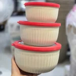 ظرف نگهدارنده فریزری پاستیلی دلوین 3 تایی - Image 7